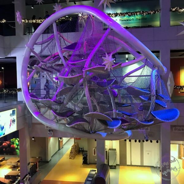 Liberty Science Center Has Two New MustSee Exhibits A Time Out for Mommy